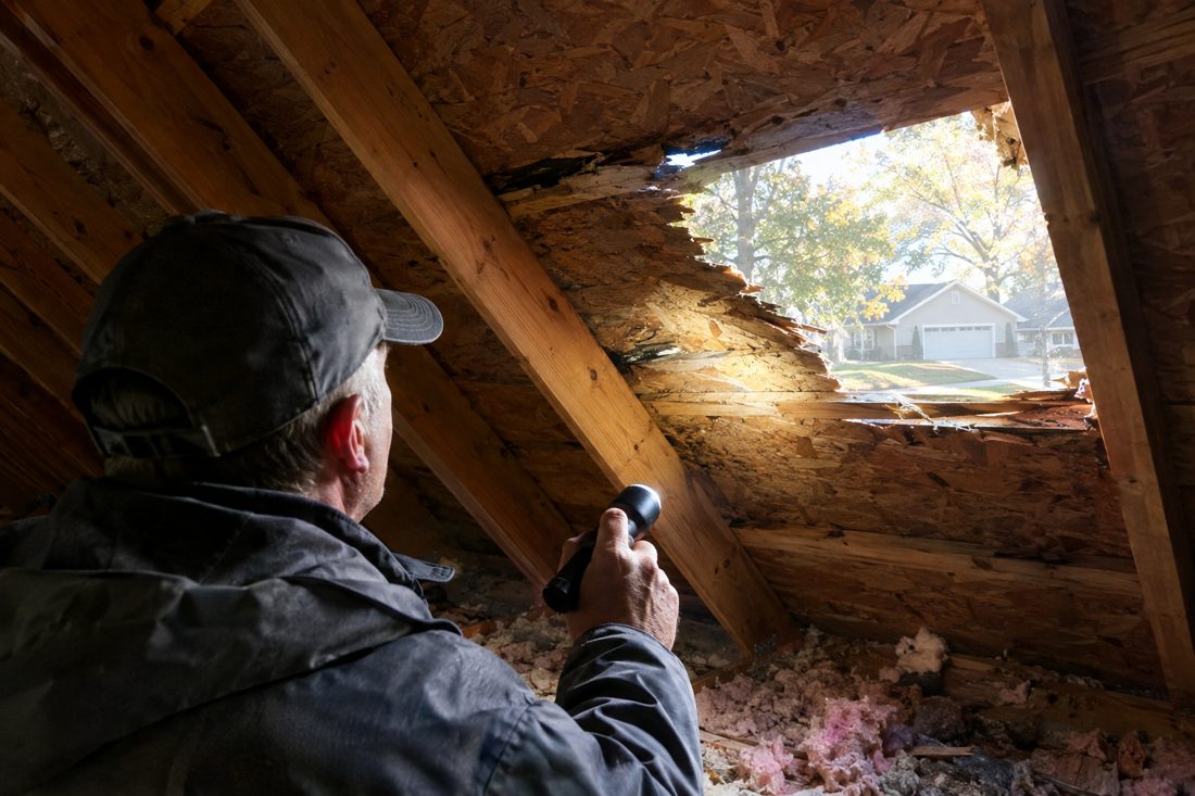 Attic interior with daylight showing through a damaged roof deck, inspector with flashlight at a suburban Iowa split-level with oak trees in Hiawatha, IA